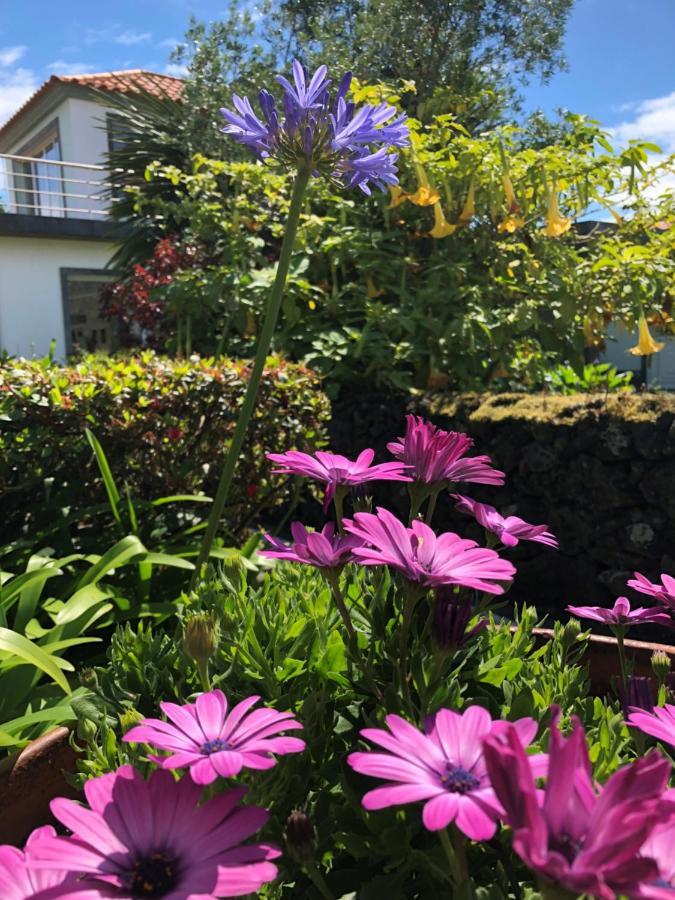 Quinta Da Bela Vista Villa Ponta Delgada Kültér fotó